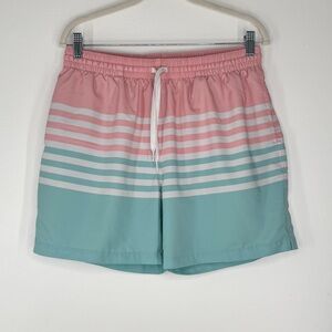 Chubbies Mint Green, Pink, White Striped Swim Shorts Mesh Liner Men Size X-Large